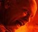 Des images de Red .