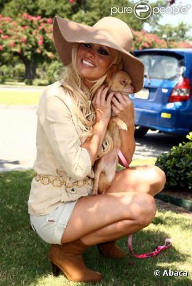 La ravissante Pamela Anderson donne de sa personne avec la PeTA pour l'adoption de chiens abandonnés, à la Nouvelle-Orléans, le 2 août 2010.