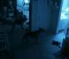 Des images de  Paranormal Activity 2. 