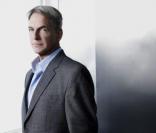 Mark Harmon, personnalité préférée des Américains