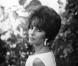 Elizabeth Taylor en 1956