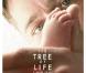 Sean Penn et Brad Pitt - The Tree Of Life de Terrence Malick - sortie prévue le 18 mai 2011.