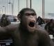 Des images de  La Planète des Singes : les origines , en salles le 10 août 2011.