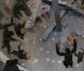 Des images de  La Planète des Singes : les origines , en salles le 10 août 2011.