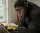 Des images de  La Planète des Singes : les origines , en salles le 10 août 2011.
