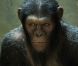 Des images de  La Planète des Singes : les origines , en salles le 10 août 2011.