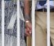 Entre Victoria et Daniel de Suède, une complicité fusionnelle existe, qui ne se cache pas.
A Borgholm, le 13 juillet 2011, la princesse Victoria de Suède et son époux le prince Daniel ont découvert les deux tilleuls que la commune leur a offerts, plantés sur la place de la mairie, pour leur mariage célébré en juin 2010. La famille royale est arrivée sur l'île d'Oland, où se trouve sa résidence estivale de Solliden.