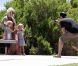 Tori Spelling, enceinte, son mari et ses adorables enfants jouent les top models