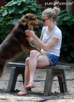  Amanda Seyfried passe un moment avec son chien à New York le 29 juillet 2011 