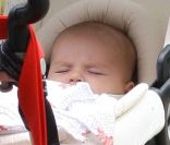 Selma Blair, Jason Bleick et leur fils Arthur lors d\'une fête d\'anniversaire dans un parc à Los Angeles, le 24 septembre 2011 <br />