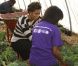 Michelle Obama n'a pas hésité à mouiller le maillot à Chicago lors d'une visite à une exploitation agricole. Le 25 octobre 2011