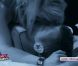 Jennifer et Lauran très chauds dans L'amour est aveugle 2 le vendredi 18 novembre 2011 sur TF1