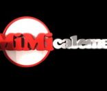 Amimicalement, le 17 décembre 2011, sur TF1