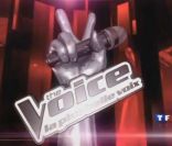 Les castings de  The Voice  sont ouverts !