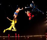 Helena Noguerra, Estelle Lefébure, Nubia Esteban et Ilona Smet lors du 50e Gala de l'Union des Artistes le 21 novembre 2011 au cirque Alexis Grüss