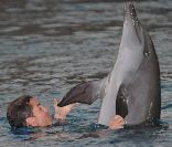 Cristiano Ronaldo on WhoSay, nage avec les dauphins lors de sa visite à Dubaï 