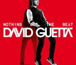 Palmarès des fortunes de la musique en France en 2011, par  Challenges  : David Guetta est 1er avec 3,2 millions d'euros. Et ce n'est qu'un tiers de ses revenus globaux... 