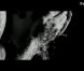 Lana Del Rey dans le clip de Bue Jeans, signé Woodkid