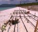 Epreuve de confort dans Koh Lanta 2012, vendredi 11 mai 2012 sur TF1