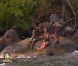 Coumba dans Koh Lanta 2012, vendredi 11 mai 2012 sur TF1