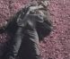 Melody Gardot, image du clip  La Vie en Rose  (juillet 2012), collaboration avec la maison de joaillerie Piaget.