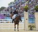 Zara Phillips sur High Kingdom lors des JO de Londres 2012, où elle a décroché la médaille d'argent du concours complet par équipes.