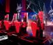 Roméo Bassi dans The Voice 2 le samedi 2 février 2013 sur TF1