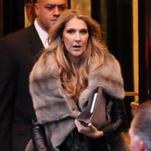Céline Dion à la sortie de son hôtel à Paris, le 28 novembre 2012.