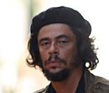 Benicio del Toro
