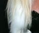 Britney Spears kleptomane ?