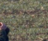 Pause tendresse en pleine partie de chasse