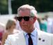 Une belle preuve que le Prince sait rester élégant en toutes circonstances, même lorsqu'il retourne les mottes de terre du terrain de polo de Windsor, en juillet 2008. Notez le petit côté rock des lunettes de soleil !