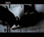 Teaser de Mesrine: L'instinct de mort