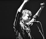 Alain Bashung