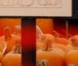 Harrison Ford au pays des citrouilles !
