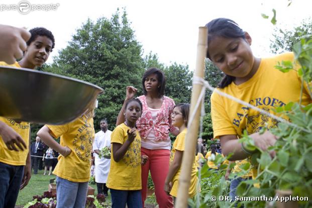 Michelle Obama et des élèves de l'école Bancroft lors de la récolte des légumes du potager de la Maison blanche le 16 juin 2009