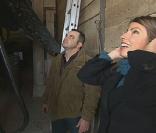 Xavier et Hélène font face à un étalon. Xavier hésite à faire une blague pourrie...