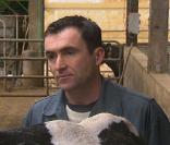 Stéphane, de l'Amour est dans le pré, est plus à l'aise avec les vaches qu'avec les femmes. Dommage, c'est deux filles qu'il héberge en ce moment !  