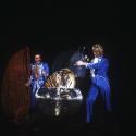 Siegfried et Roy reviennent sur scène à Las Vegas avec leurs tigres blancs...