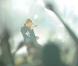 Coldplay en concert au Parc des Princes, Paris, le 7 septembre 2009