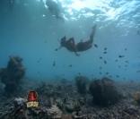 Les rouges visitent l'océan grâce à l'épreuve de confort 