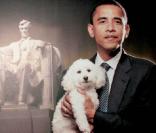Le 44e président des Etats-Unis d'Amérique Barack Obama, Prix Nobel de la Paix 2009, ici avec son chien Bo !