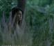 Image du clip de  Meet me halfway  des Black Eyed Peas