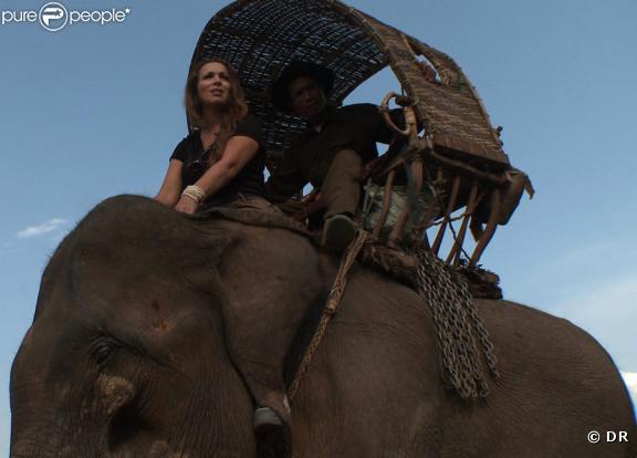 Hélène Ségara pour Mission sauvage : des stars au secours des animaux sur NT1