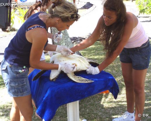Nâdiya pour Mission sauvage : des stars au secours des animaux sur NT1