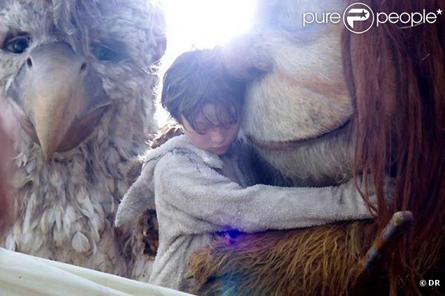Des images de  Max et les Maximonstres , de Spike Jonze.