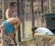David, Farid ou Greg... qui sera le meilleur bricoleur de La Ferme ?
