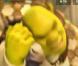 La bande-annonce de Shrek 4