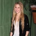 Quand Shakira retrouve Sean Penn trois mois après le drame...
