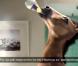 La pub Orangina, la boisson qui donne bonne haleine !